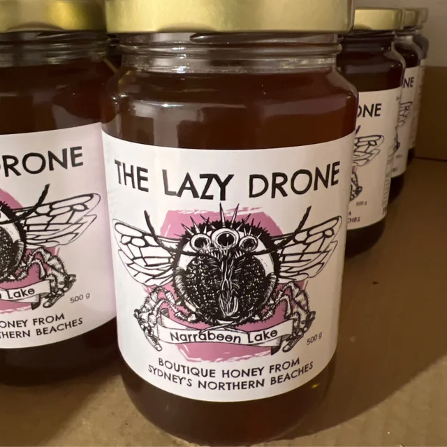 The Lazy Drone
