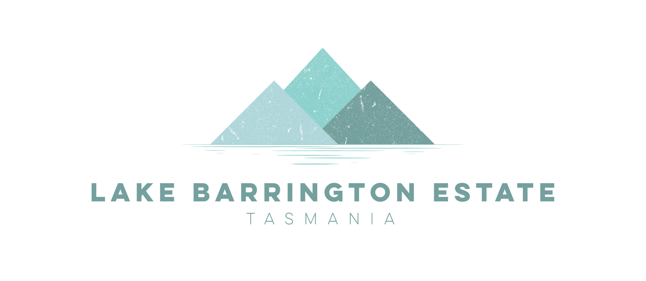 Lake Barrington Vineyard
